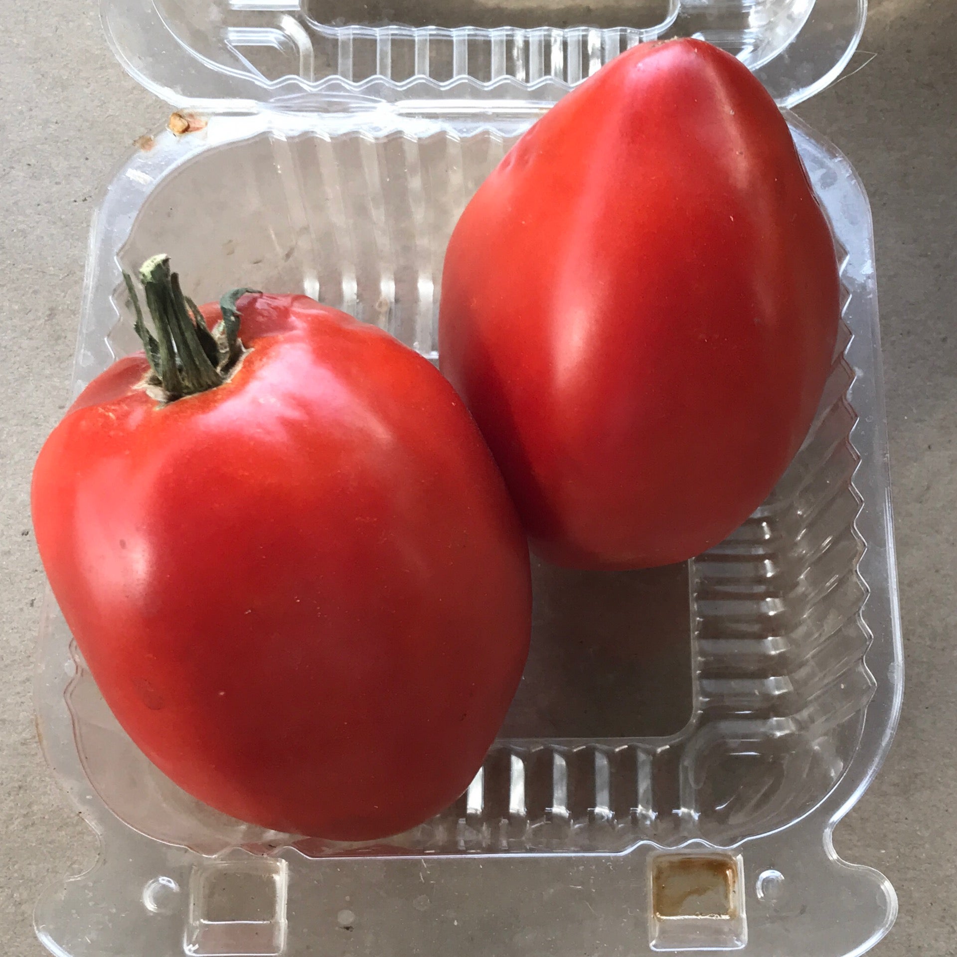 Feed Denver: Sunnyside Farm & Market